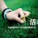 丽萍