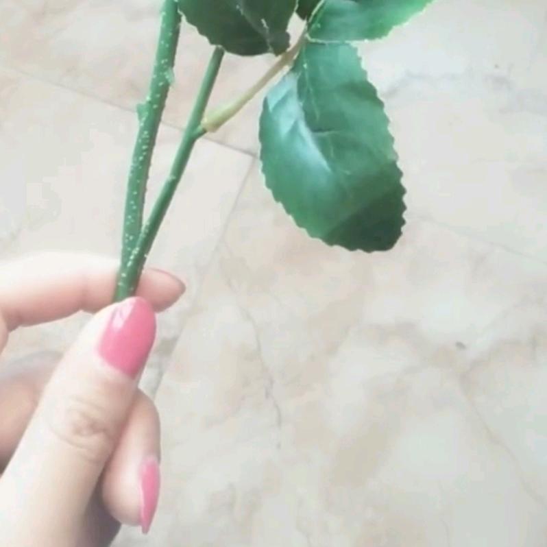 🥀⃟自渡ꦻ