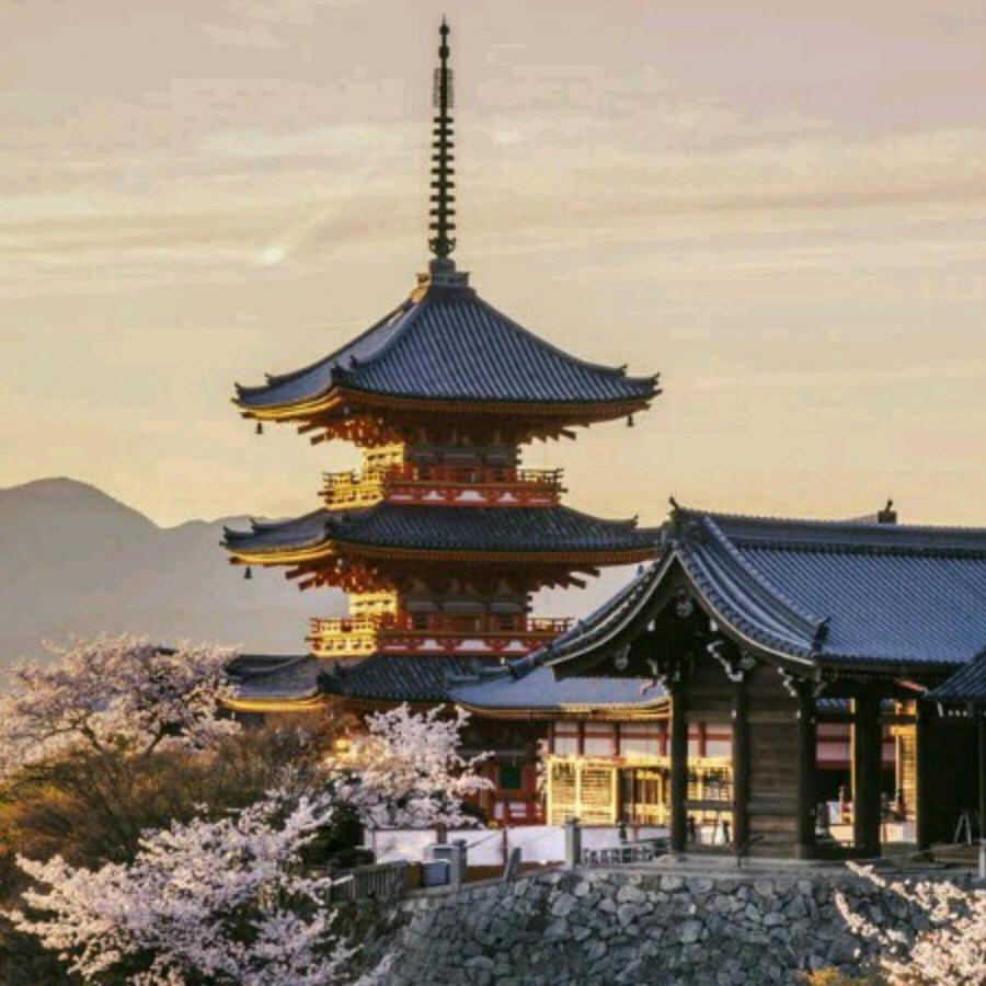 🍀和平岁月🍀