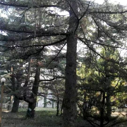 风筝在奋斗