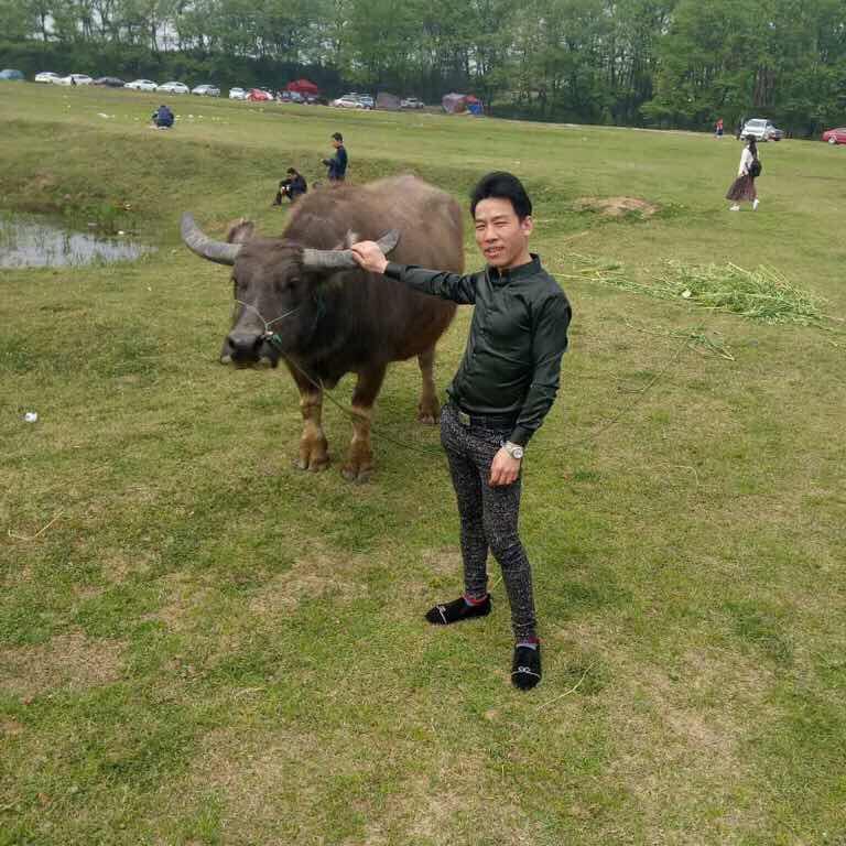 忆流年