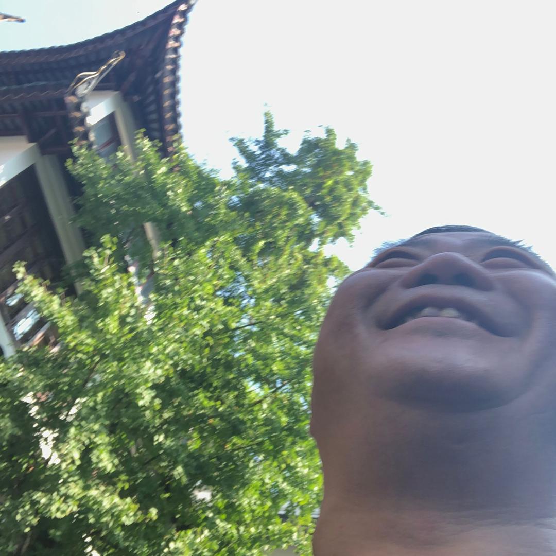 昕昕传媒（振华电子）