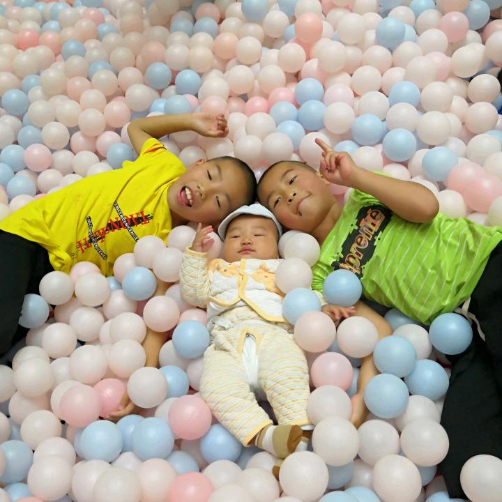 熙阳宏