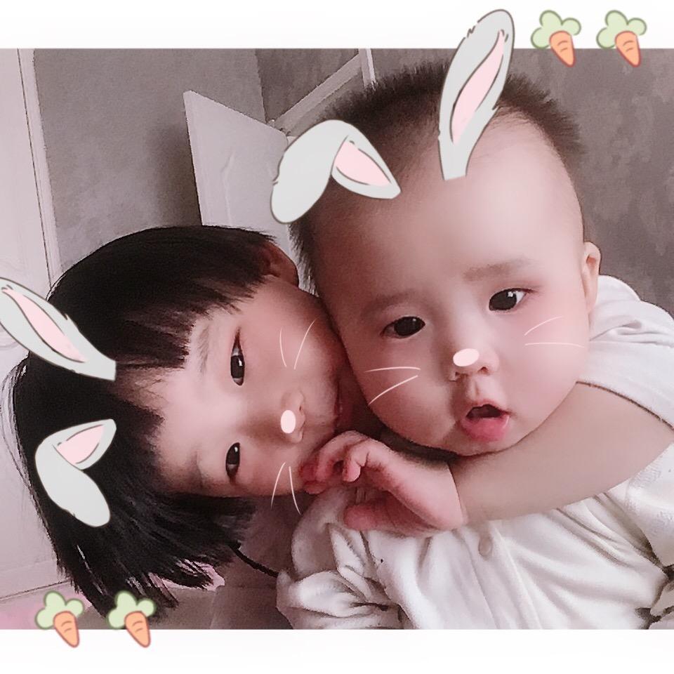 可可👑小车车