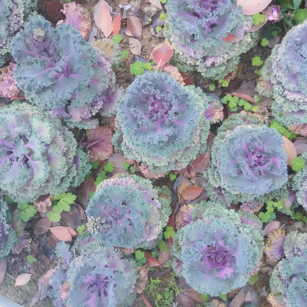 默默感受，默默