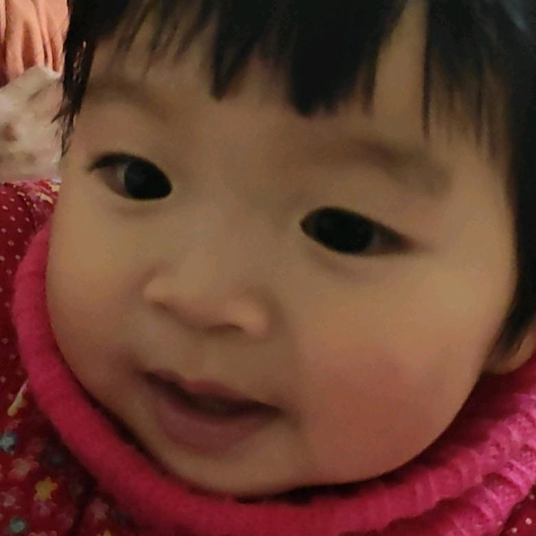小龙宝