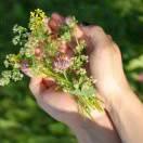 沉默是金5487271976762