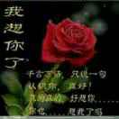 豆腐之家