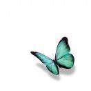 三星电视专业体验官