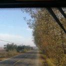 手机用户狼落红尘641957