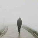 〆᭄᭄ꦿ癮公子ゾ