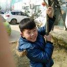飞玲