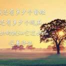 风雨彩虹