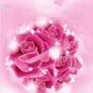 💞ღ᭄Serendipityঞ᭄༊
