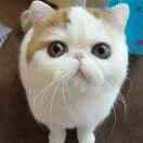 🦞夜色尚浅