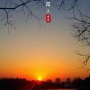 分享，阳光