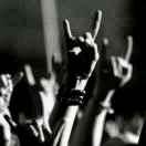 吕总教我抠鱼鳃