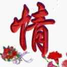 我不是总统