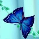 平平安安健健康康