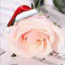 ご微笑灬沉默灬