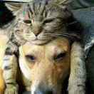 男人♥活出你的傲慢