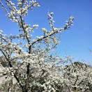 @窝  @