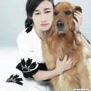 红玫瑰