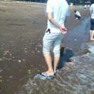 小白种草莓泉水