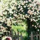 花开就在一瞬间