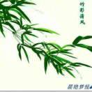 竹影*清风