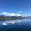 🎊好💕〽️运🍀姜🎋临🌴