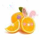 橙子