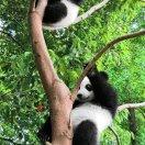 追求梦想i