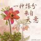 开心每一天哟