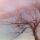 夏天