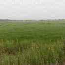 内蒙古博宇防水堵漏闫二毛