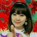 丁香花