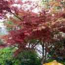 (๑‾᷅^‾᷅๑) 嫌弃你