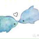 🐠快乐的鱼🐠