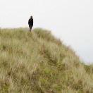 勇往直前宏远