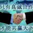 疯狂的大鹅刘延春