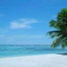 余生🍁随心🍀