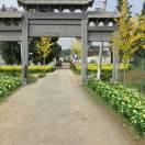 驻马店。有哥。