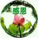 蝴蝶兰