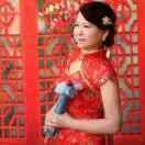 50后的蒲公英