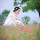 对你微笑纯属礼貌