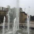 老兵杏李果园，奋斗是为了美好的明天