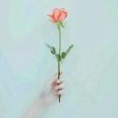 月光下的思念～