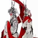 云南小涛涛