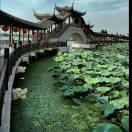 李敏